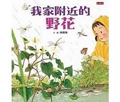 我家附近的野花